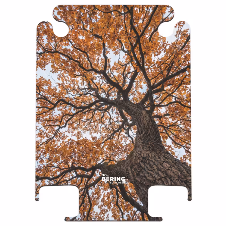 CaseSwap - Baum – Blätterdach – Herbst – Orange – Stimmungsvoll — 1