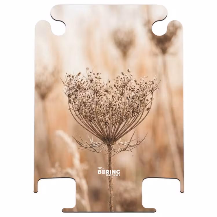 CaseSwap™ - Bildschirmblume – Trockenblume – Winter – Beige – Minimalistisch — 1