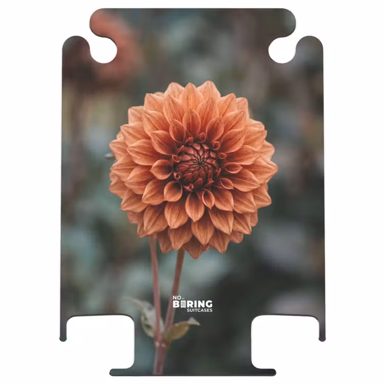 CaseSwap™ - Dahlia – Blume – Natur – Stimmungsvoll — 1