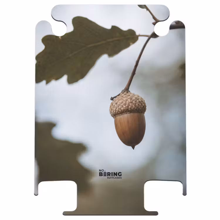 CaseSwap™ - Eichel – Eichenblatt – Wald – Herbst – Natur — 1