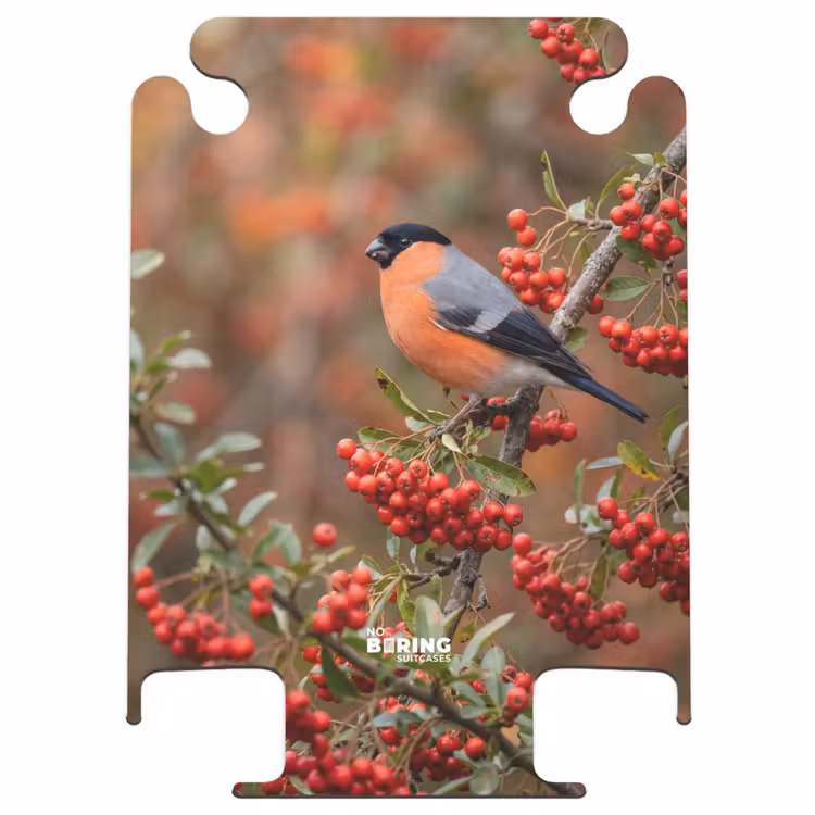 CaseSwap™ - Goldfink – Beeren – Herbst – Natur – Farbenfroh — 1
