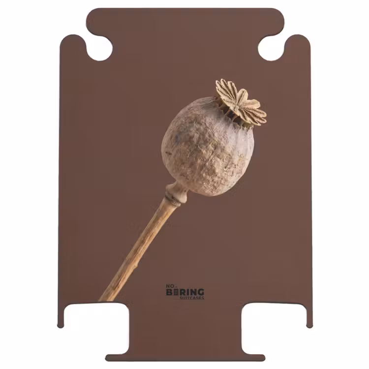 CaseSwap™ - Mohnblume – Trockenblume – Braun – Minimalistisch — 1
