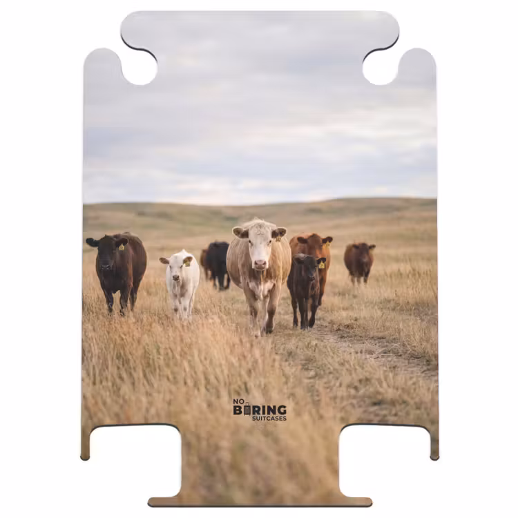 CaseSwap™ - Rinder – Herde – Landschaft – Weide – Ruhig — 1