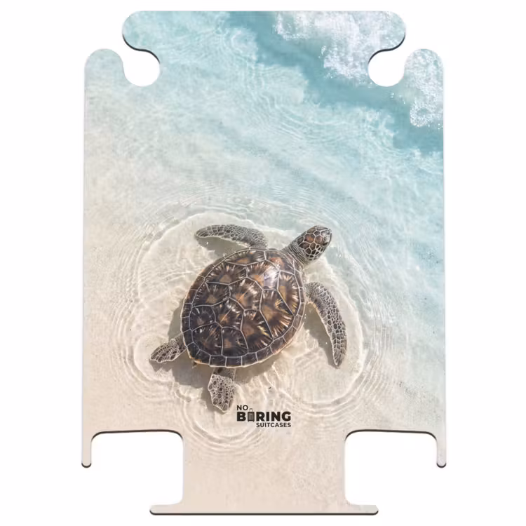 CaseSwap™ - Schildkröte – Klares Wasser – Strand – Tiere – Natur — 1