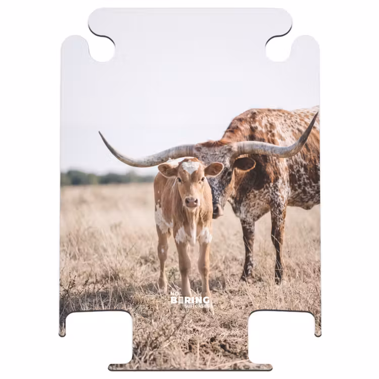 CaseSwap™ - Texas Longhorn – Kalb – Weide – Tiere — 1