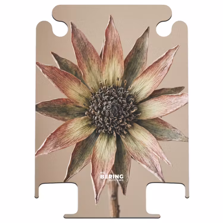 CaseSwap - Trockenblume – Protea – Vintage – Beige – Rustikal — 1