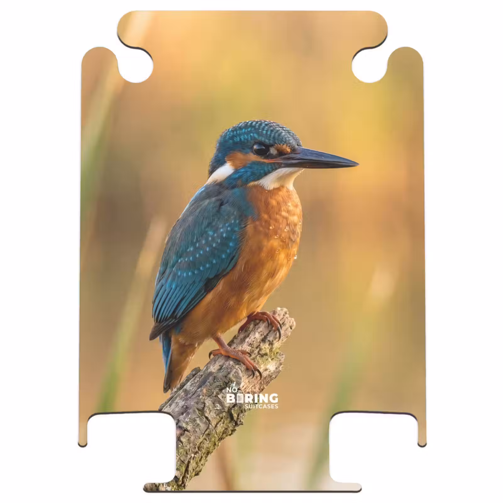 CaseSwap - Eisvogel – Ast – Wasser – Bunt – Lebhaft — 1