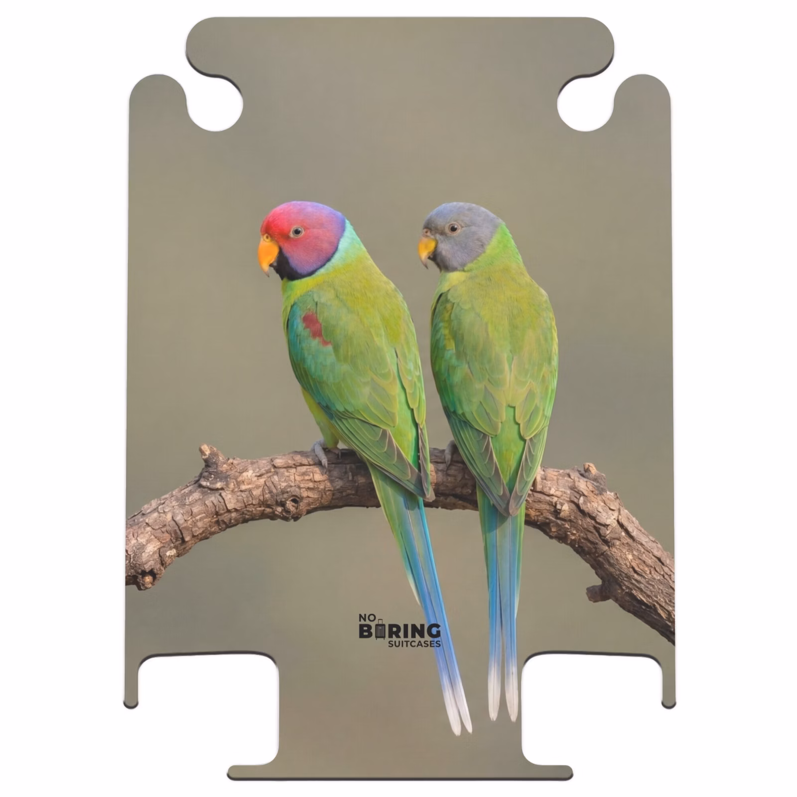CaseSwap™ - Papagei – Ast – Natur – Bunt — 1