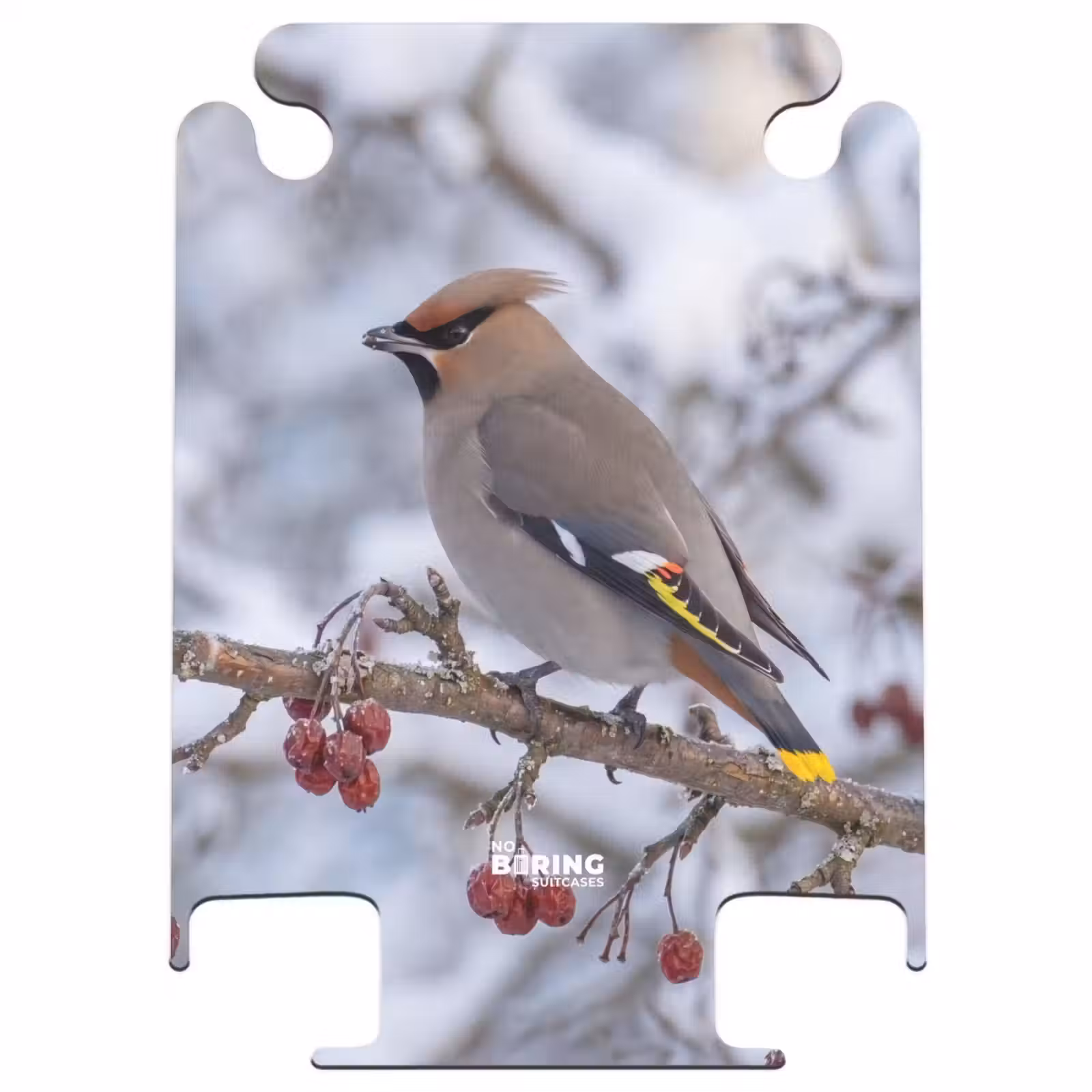 CaseSwap™ - Pestvogel – Beeren – Winter – Natur — 1