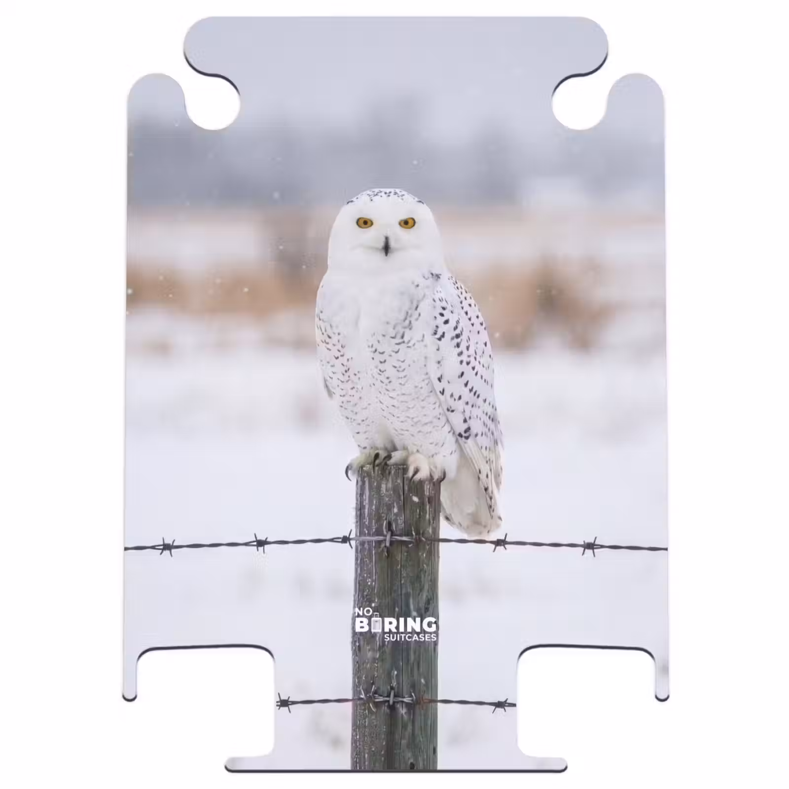 CaseSwap - Schnee-Eule – Zaun – Schnee – Weiß — 1