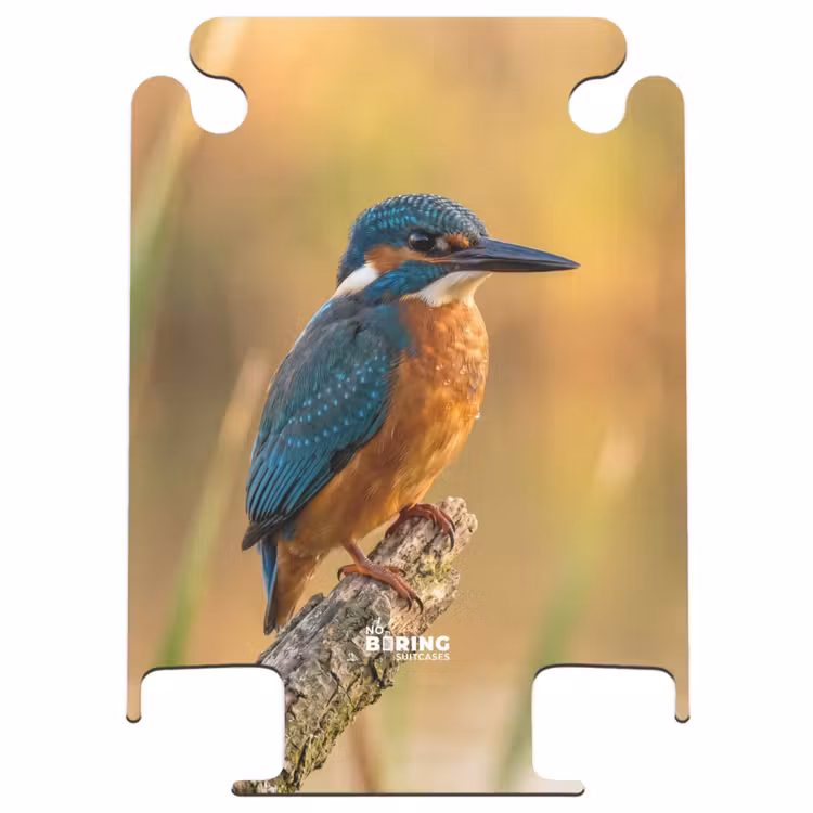 CaseSwap - Eisvogel – Ast – Wasser – Bunt – Lebhaft — 1
