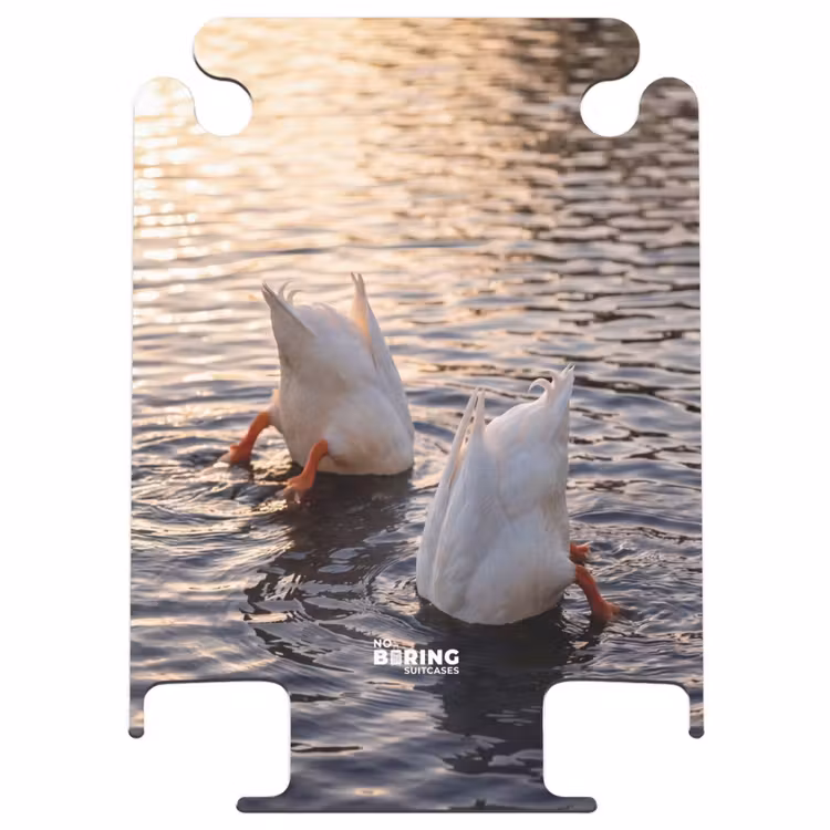 CaseSwap™ - Enten – Wasser – Natur — 1