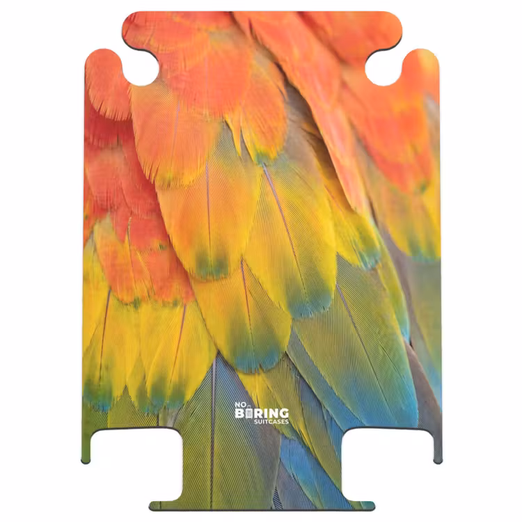 CaseSwap™ - Federn – Ara – Bunt — 1
