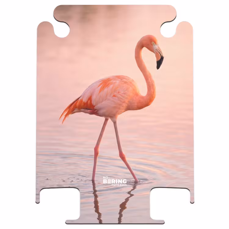 CaseSwap - Flamingo – Wasser – Rosa — 1
