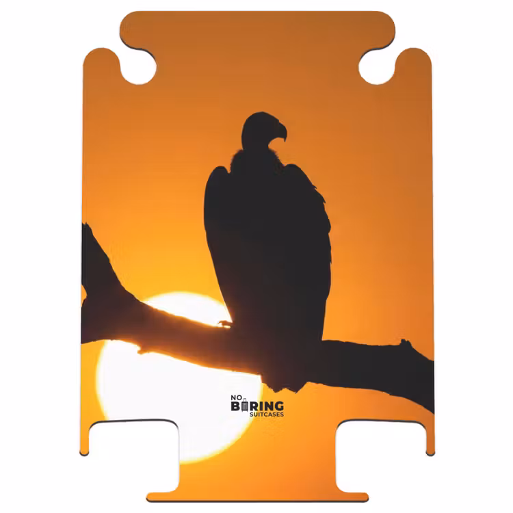 CaseSwap™ - Gier – Tak – Sonne – Orange — 1