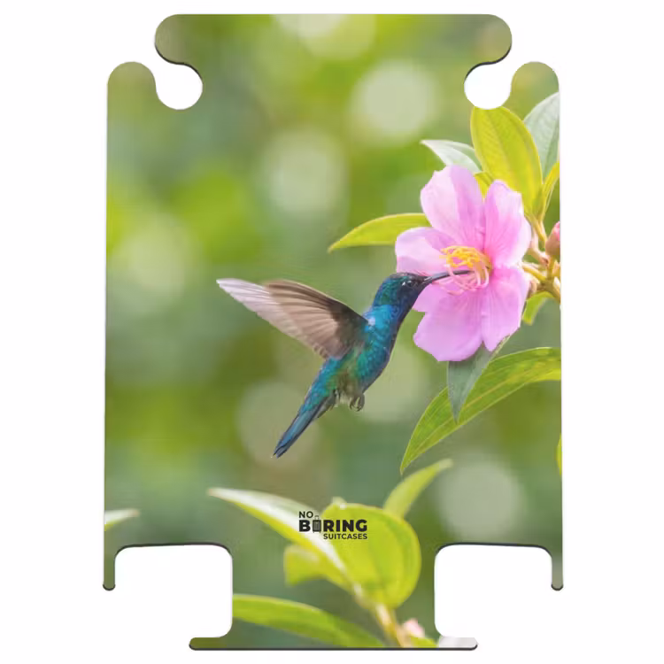 CaseSwap™ - Kolibri – Blume – Natur – Grün — 1