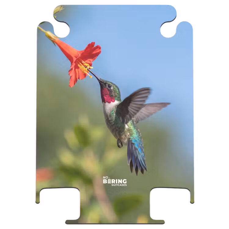 CaseSwap™ - Kolibri – Blume – Natur – Grün — 1