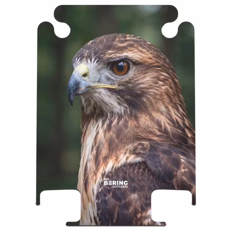 CaseSwap™ - Mäusebussard – Raubvogel – Natur – Braun — 1