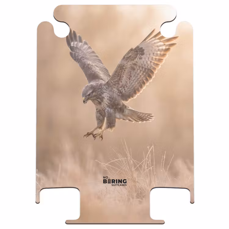 CaseSwap™ - Mäusebussard – Raubvogel – Natur – Braun — 1