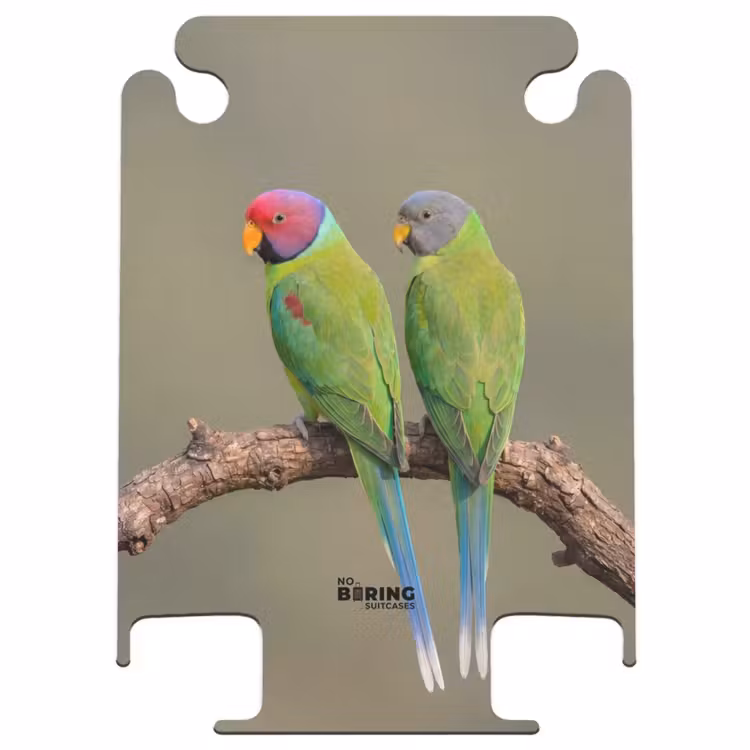 CaseSwap™ - Papagei – Ast – Natur – Bunt — 1
