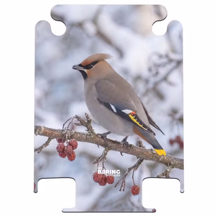 CaseSwap™ - Pestvogel – Beeren – Winter – Natur — 1