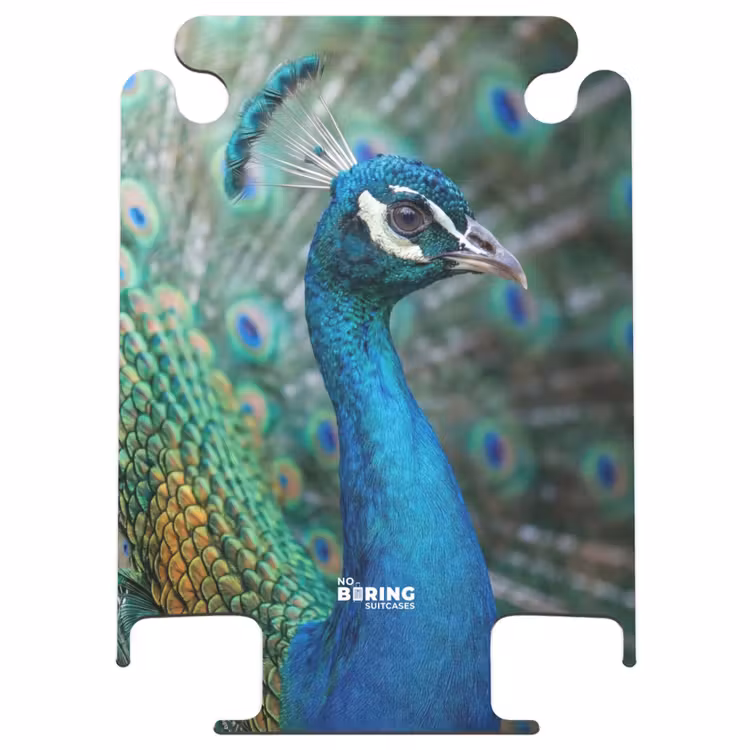 CaseSwap™ - Pfau – Federn – Blau — 1