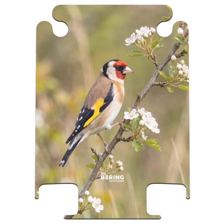 CaseSwap™ - Putter – Blüten – Frühling – Natur – Farbenfroh — 1