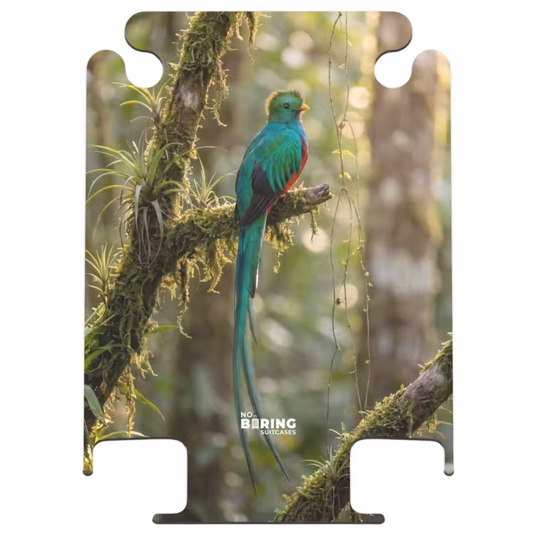 CaseSwap™ - Quetzal – Dschungel – Natur – Grün — 1