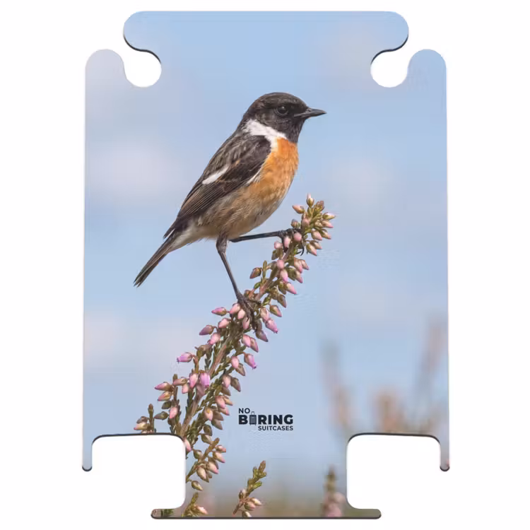 CaseSwap - Rotkehl-Steinschmätzer – Heide – Lila – Natur – Stimmungsvoll — 1