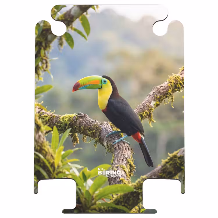 CaseSwap - Tukan – Dschungel – Natur – Bunt — 1