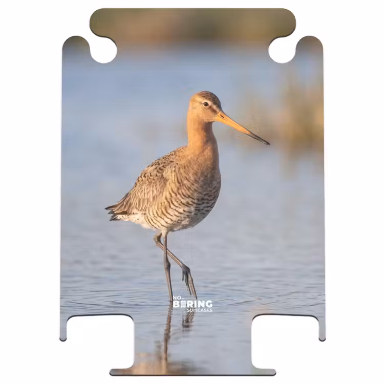 CaseSwap™ - Vogel – Watvogel – Wasser – Natur — 1