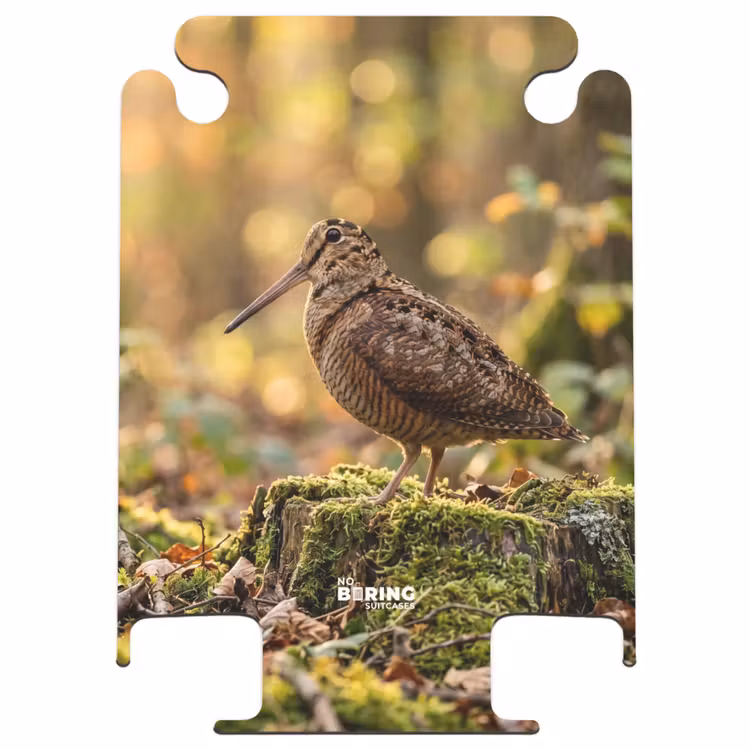 CaseSwap™ - Waldschnepfe – Wald – Blätter – Herbst – getarnt — 1