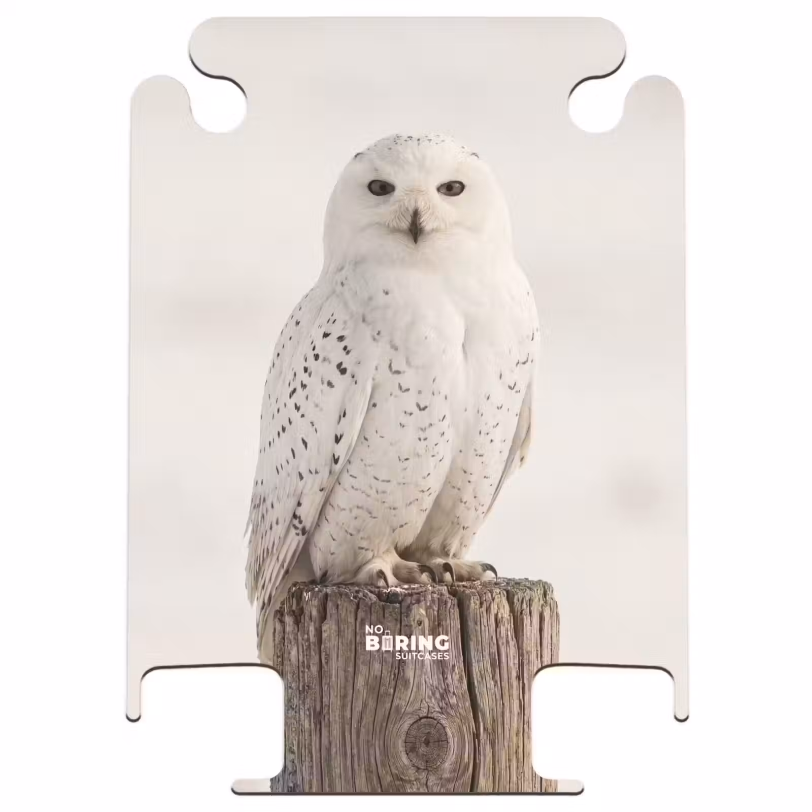 CaseSwap™ - Schnee-Eule – Pfahl – Winter – Porträt – Majestätisch — 1