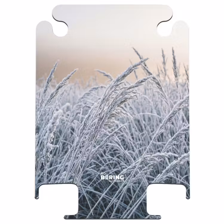 CaseSwap™ - Reif – Gras – Kristalle – Winter – Minimalistisch — 1
