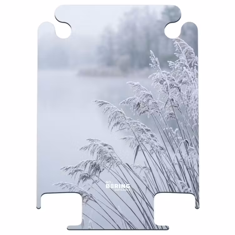 CaseSwap™ - Schilf – Gefroren – Winter – Natur — 1