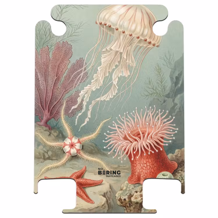 CaseSwap™ - Meeresleben – Qualle – Unterwasser – Illustration – Beige — 1