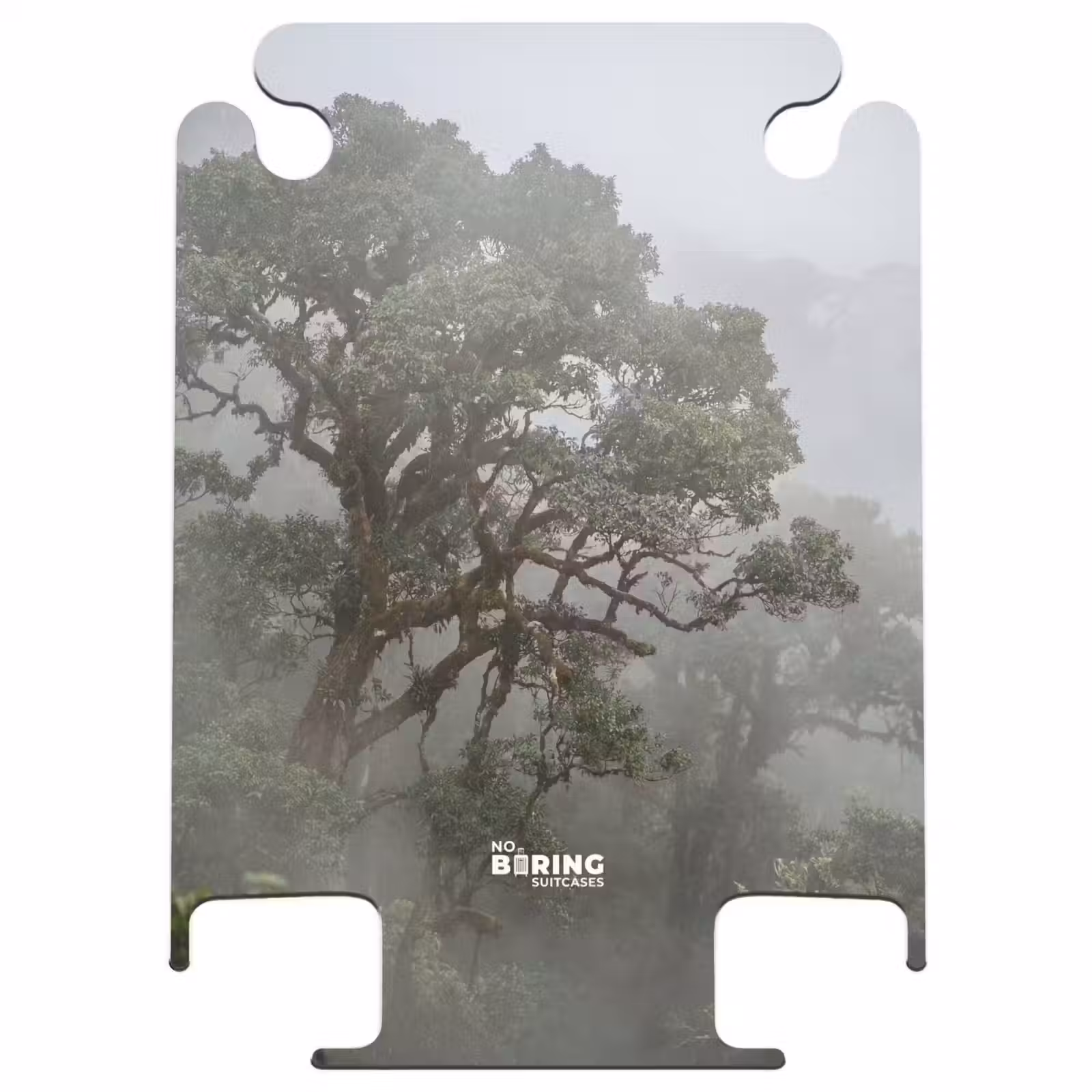 CaseSwap™ - Baum – Nebel – Wald – Grün – Natur — 1