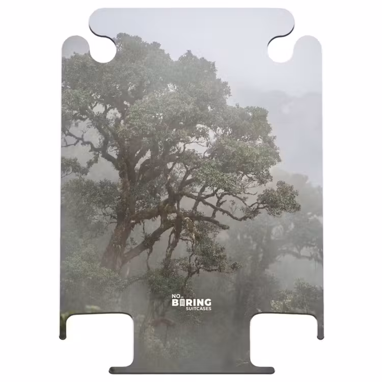 CaseSwap™ - Baum – Nebel – Wald – Grün – Natur — 1