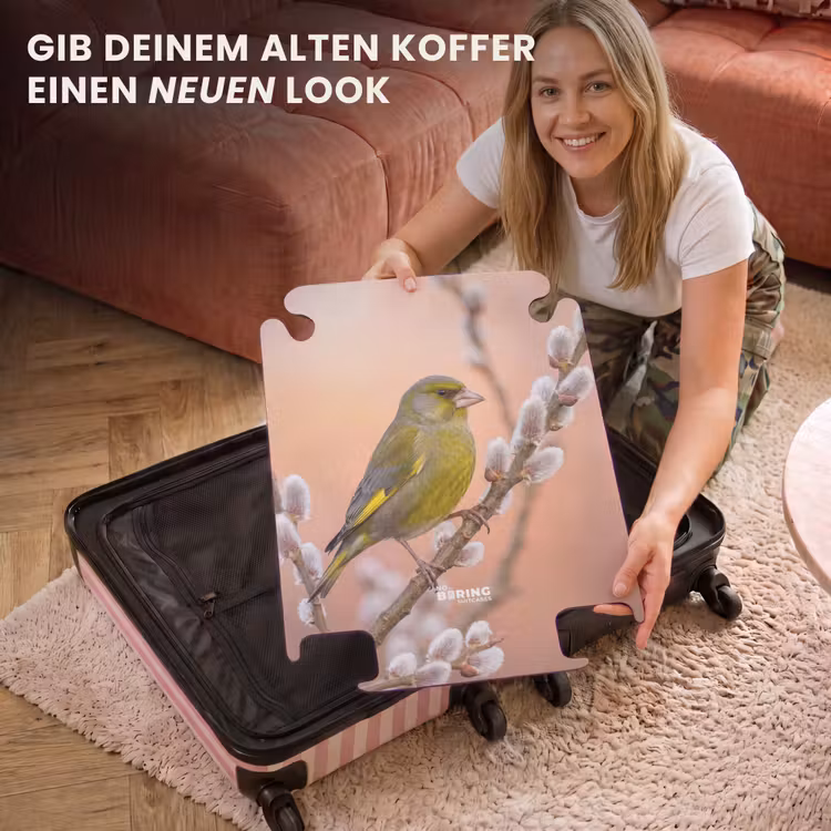 CaseSwap™ - Grünling – Kätzchen – Frühling – Natur – Sanft — 3