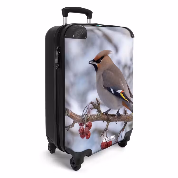 CaseSwap™ - Pestvogel – Beeren – Winter – Natur — 2