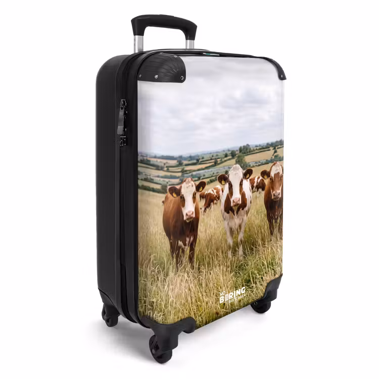 CaseSwap™ - upload-6a4f5c526792f-92-Gigapixel-Standard-v2-15x — 2