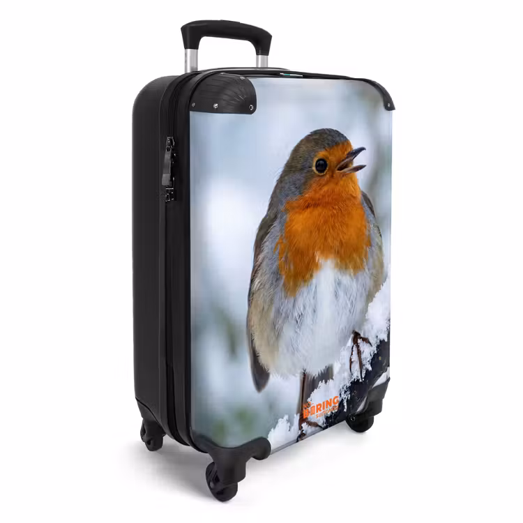 CaseSwap™ - Rotkehlchen – Ast – Schnee – Winter – Lebhaft — 2