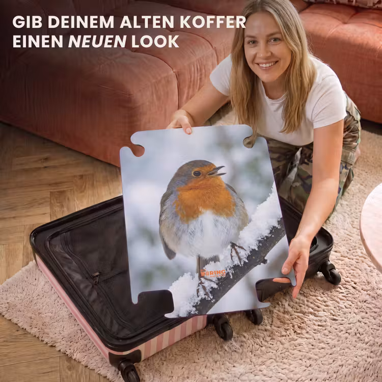 CaseSwap™ - Rotkehlchen – Ast – Schnee – Winter – Lebhaft — 3