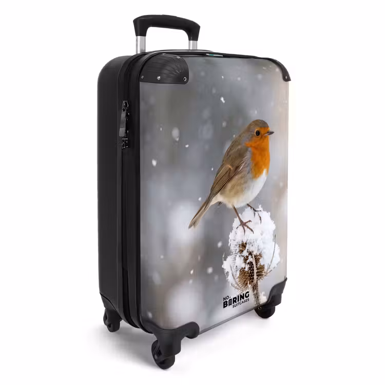 CaseSwap™ - Rotkehlchen – Getrocknete Blume – Schnee – Winter – Herzerwärmend — 2
