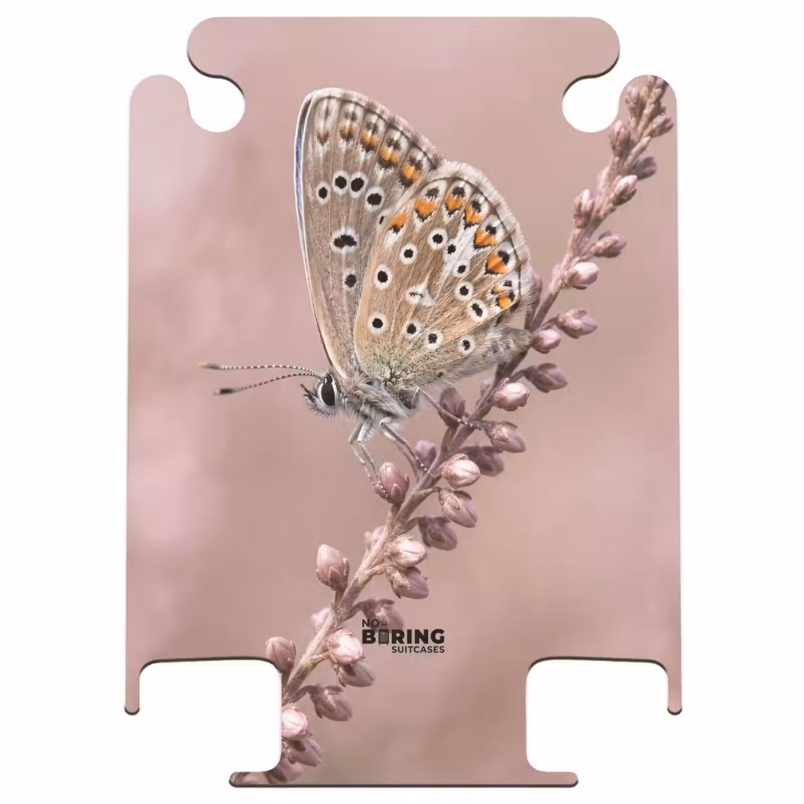 CaseSwap™ - Lavendel – Schmetterling – Lila — 1