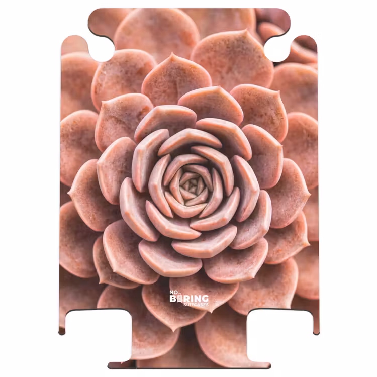 CaseSwap™ - Fettpflanze – Bio – Rosa — 1
