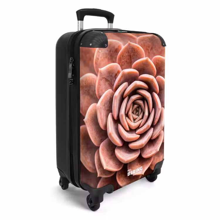 CaseSwap™ - Fettpflanze – Bio – Rosa — 2