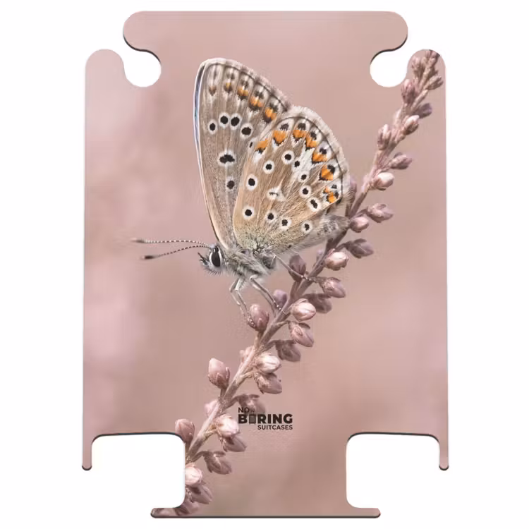 CaseSwap™ - Lavendel – Schmetterling – Lila — 1