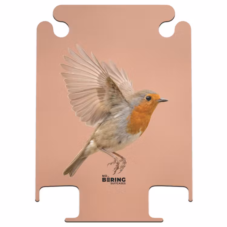 CaseSwap - Rotkehlchen – Natur – Rosa — 1