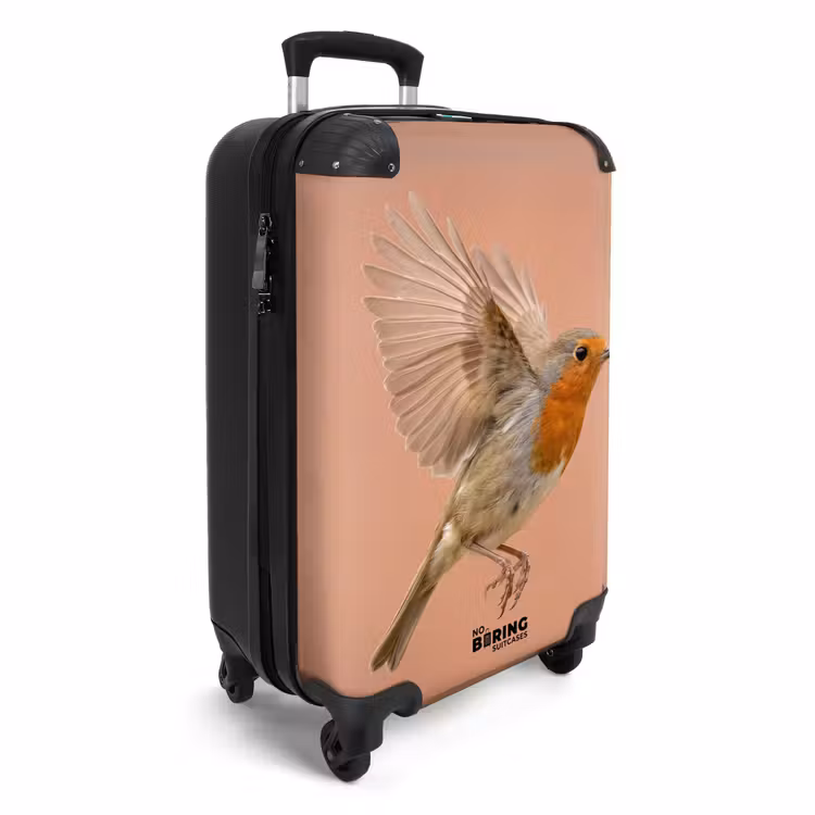 CaseSwap - Rotkehlchen – Natur – Rosa — 2